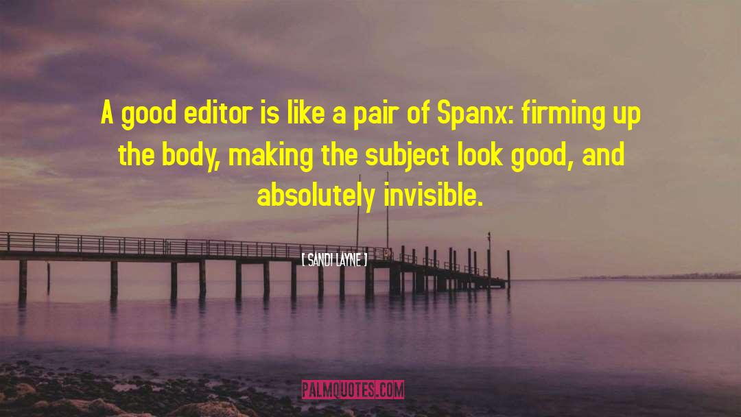 Sandi Layne Quotes: A good editor is like