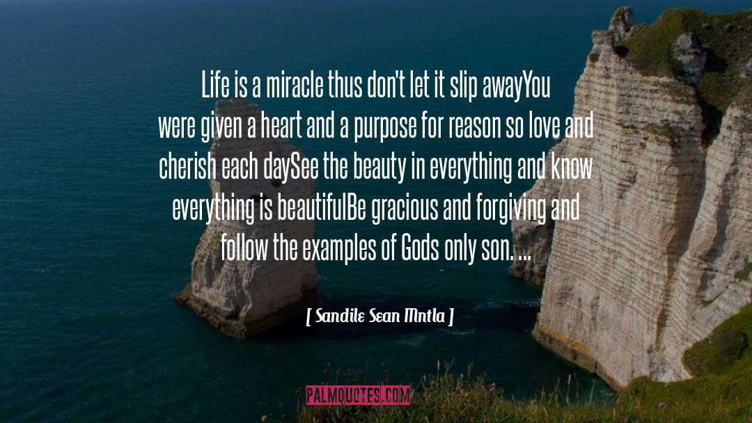 Sandile Sean Mntla Quotes: Life is a miracle thus