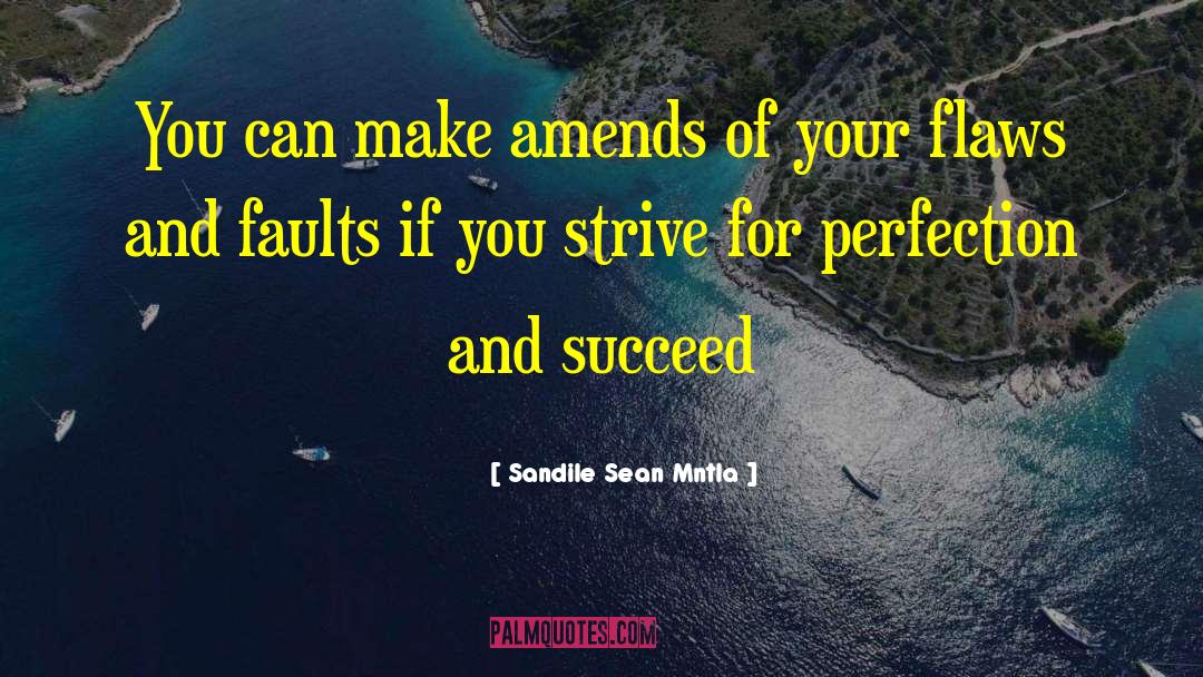 Sandile Sean Mntla Quotes: You can make amends of