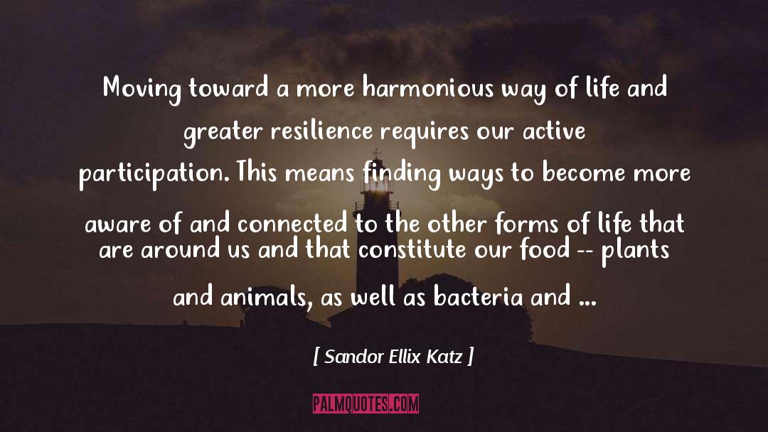 Sandor Ellix Katz Quotes: Moving toward a more harmonious