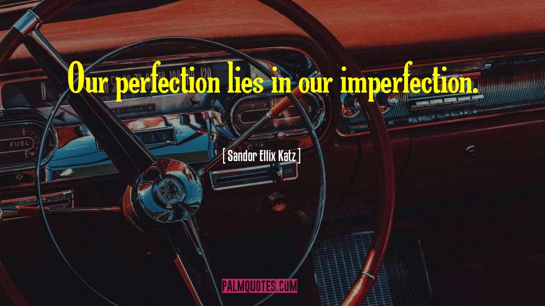 Sandor Ellix Katz Quotes: Our perfection lies in our