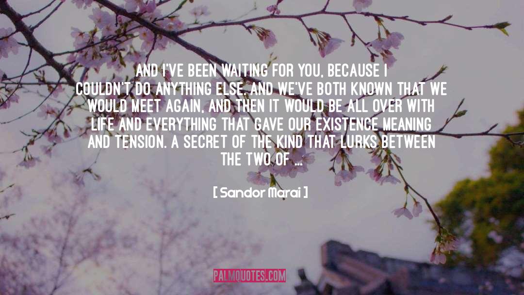Sandor Marai Quotes: And I've been waiting for