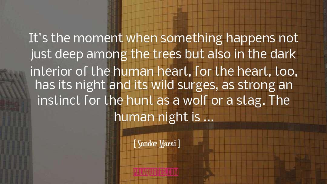 Sandor Marai Quotes: It's the moment when something