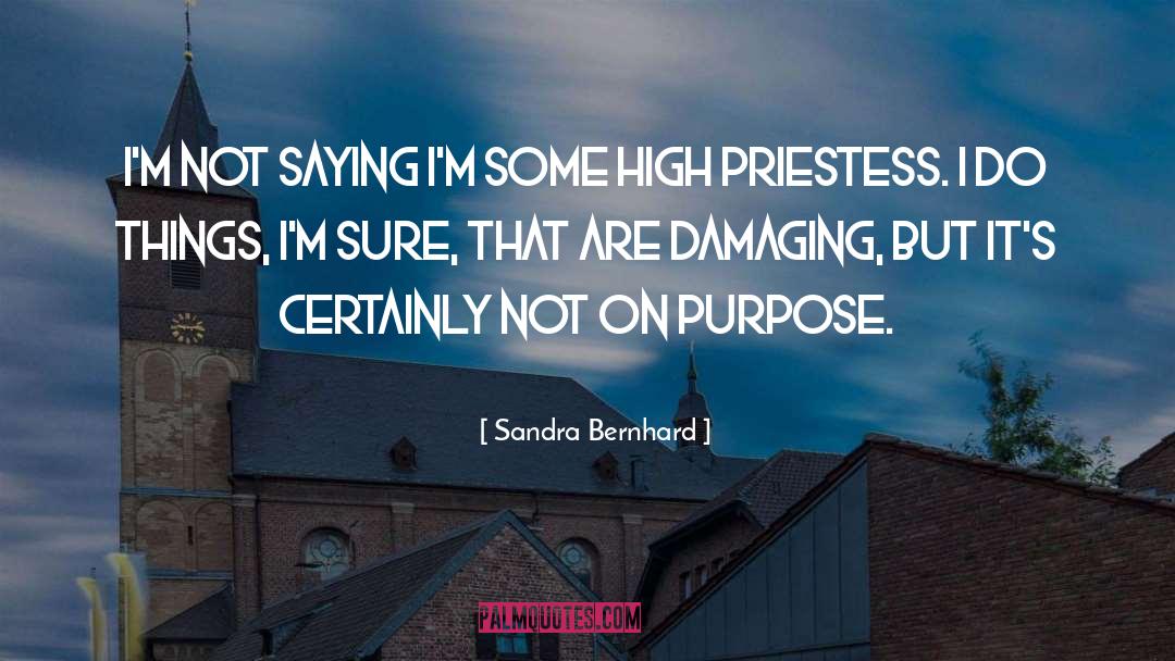 Sandra Bernhard Quotes: I'm not saying I'm some