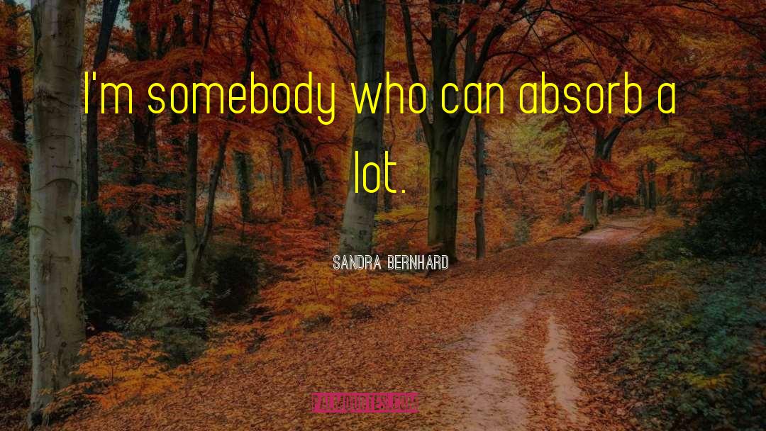 Sandra Bernhard Quotes: I'm somebody who can absorb