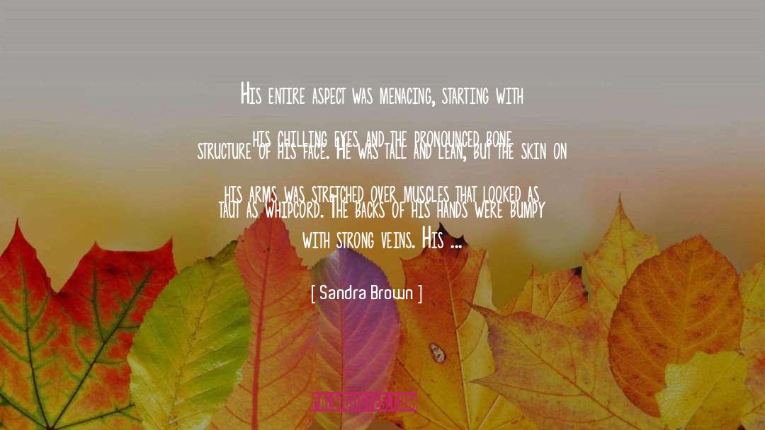 Sandra Brown Quotes: His entire aspect was menacing,