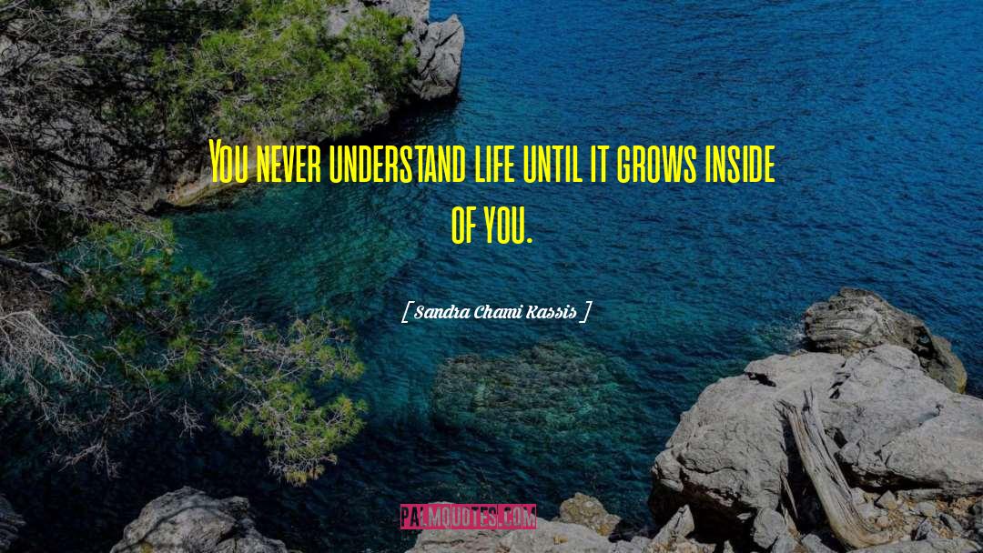 Sandra Chami Kassis Quotes: You never understand life until