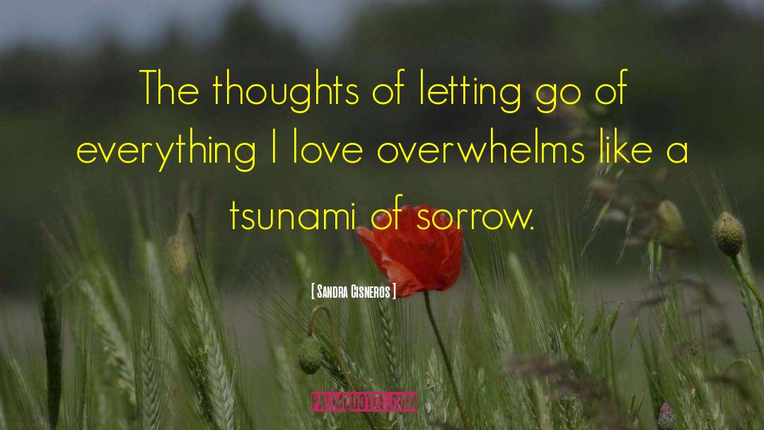 Sandra Cisneros Quotes: The thoughts of letting go