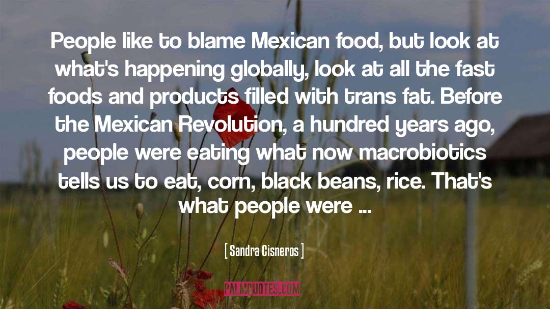 Sandra Cisneros Quotes: People like to blame Mexican