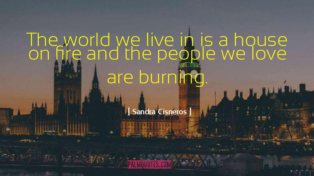 Sandra Cisneros Quotes: The world we live in