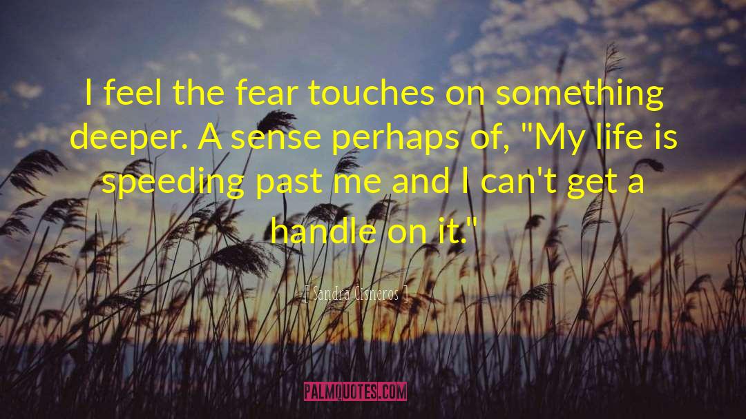 Sandra Cisneros Quotes: I feel the fear touches