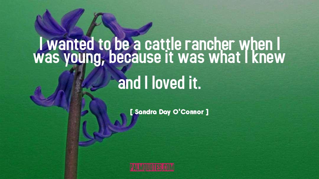 Sandra Day O'Connor Quotes: I wanted to be a