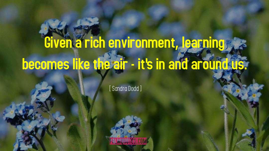 Sandra Dodd Quotes: Given a rich environment, learning