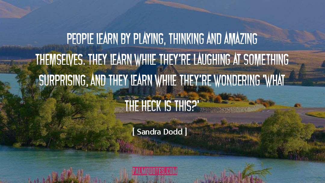 Sandra Dodd Quotes: People learn by playing, thinking