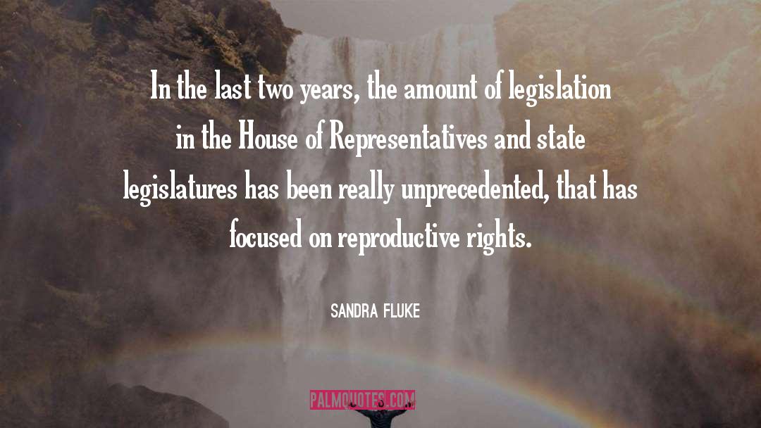 Sandra Fluke Quotes: In the last two years,