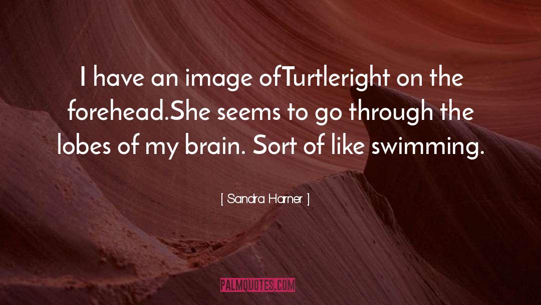 Sandra Harner Quotes: I have an image of<br>Turtle<br>right