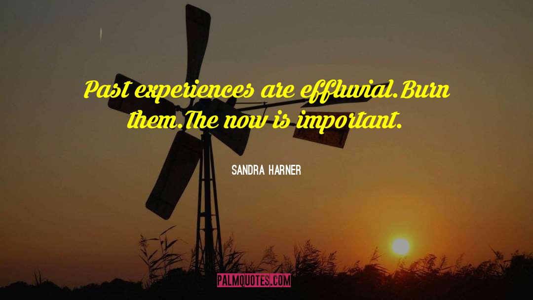 Sandra Harner Quotes: Past experiences are effluvial.<br>Burn them.<br>The