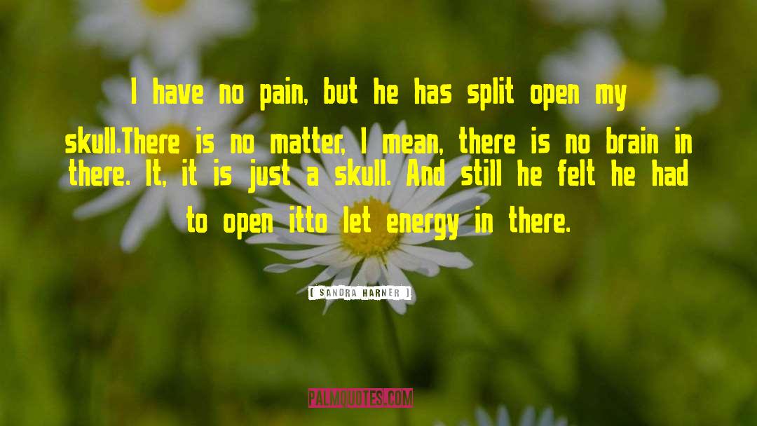 Sandra Harner Quotes: I have no pain, but