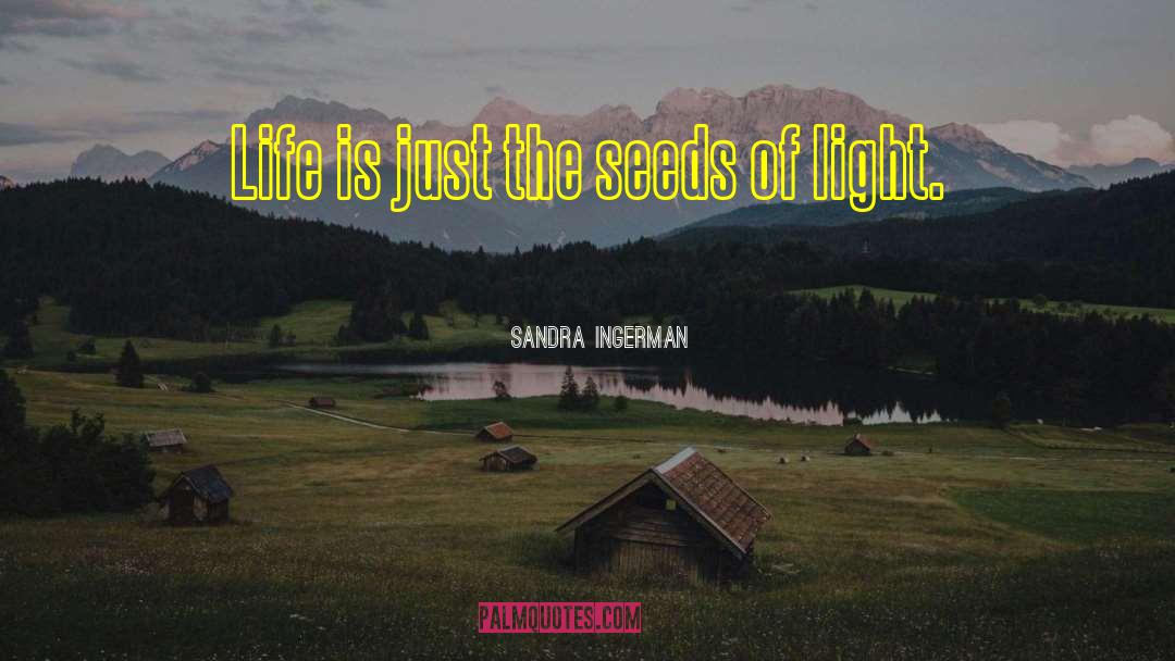 Sandra Ingerman Quotes: Life is just the seeds