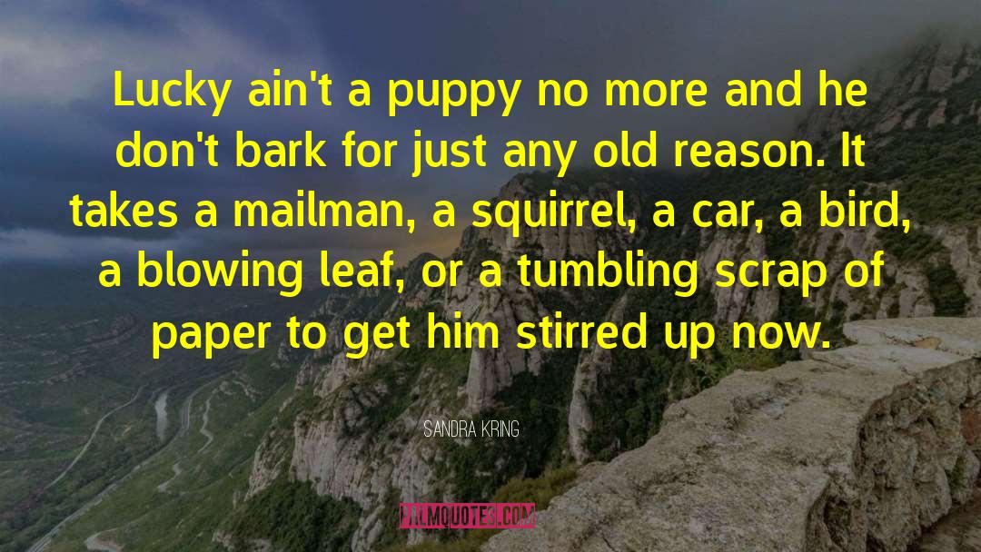 Sandra Kring Quotes: Lucky ain't a puppy no