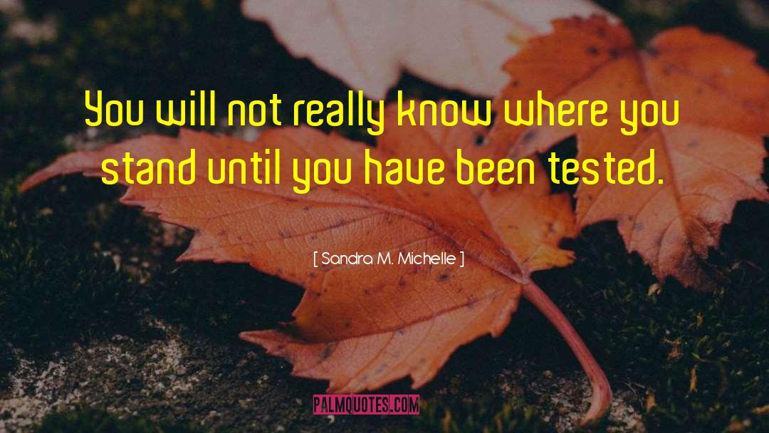 Sandra M. Michelle Quotes: You will not really know