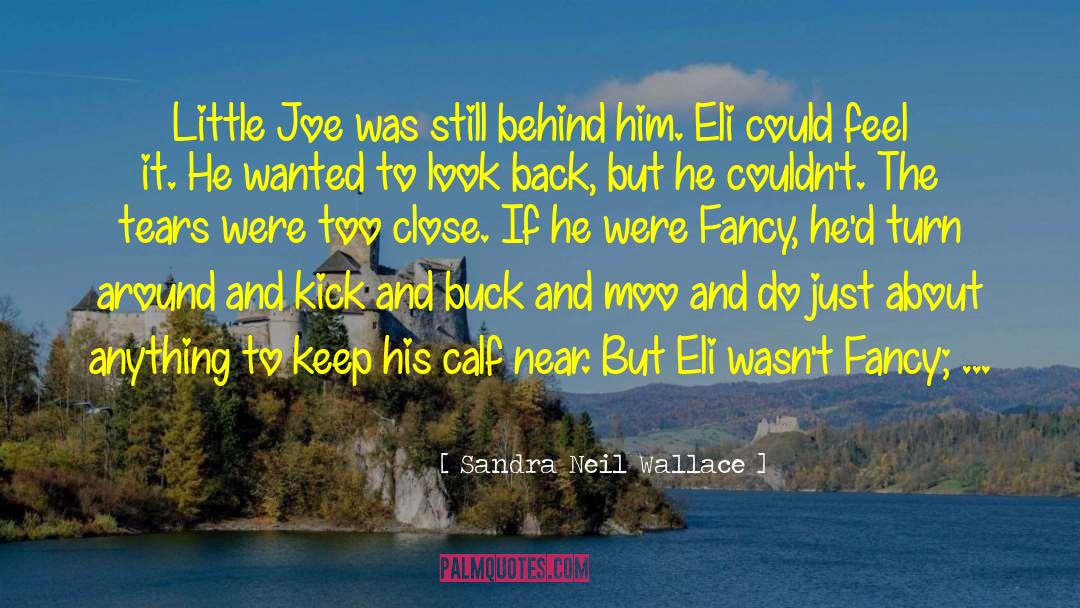 Sandra Neil Wallace Quotes: Little Joe was still behind