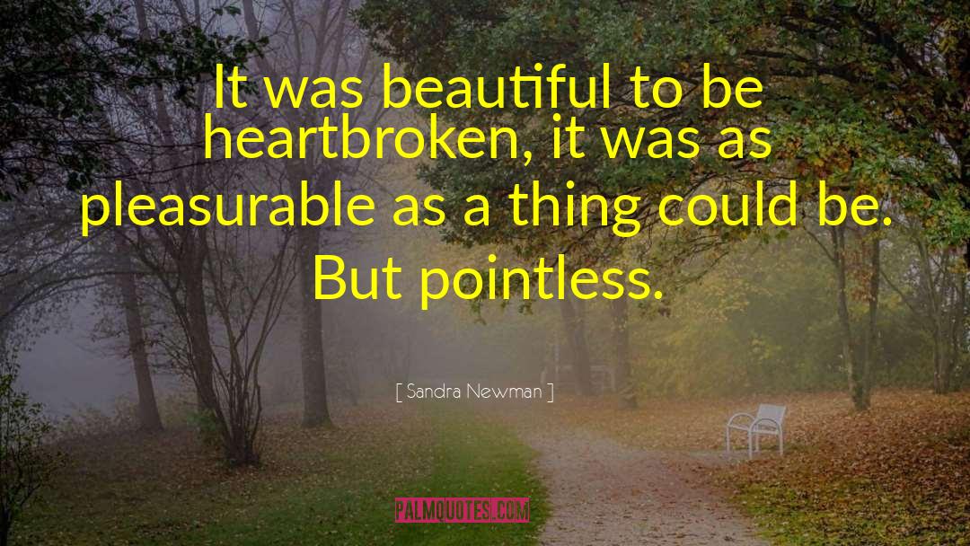 Sandra Newman Quotes: It was beautiful to be