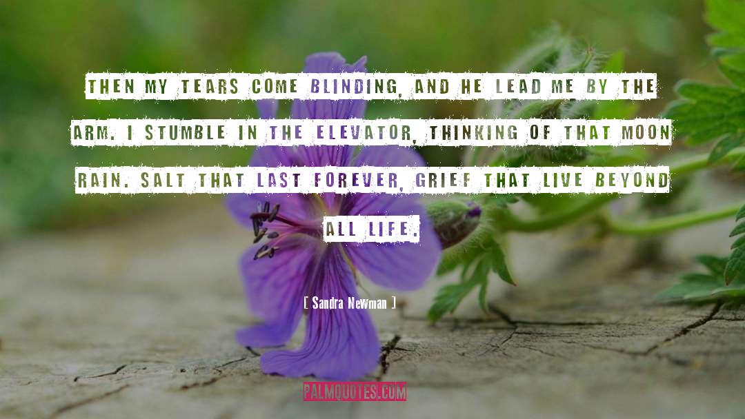 Sandra Newman Quotes: Then my tears come blinding,