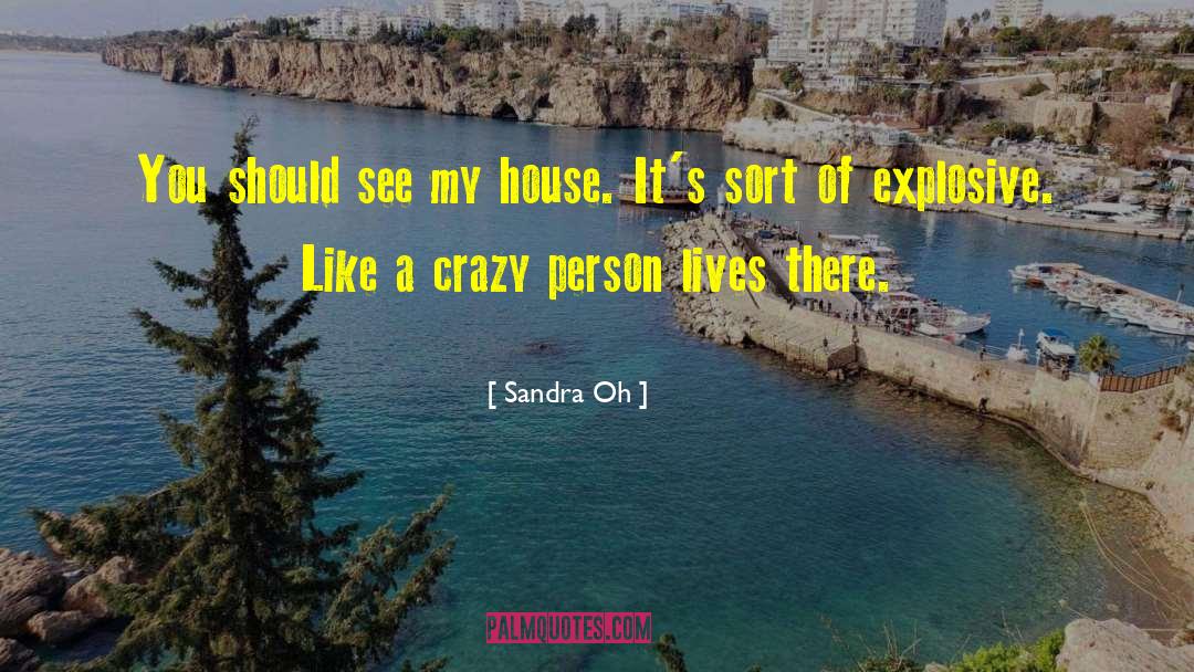 Sandra Oh Quotes: You should see my house.