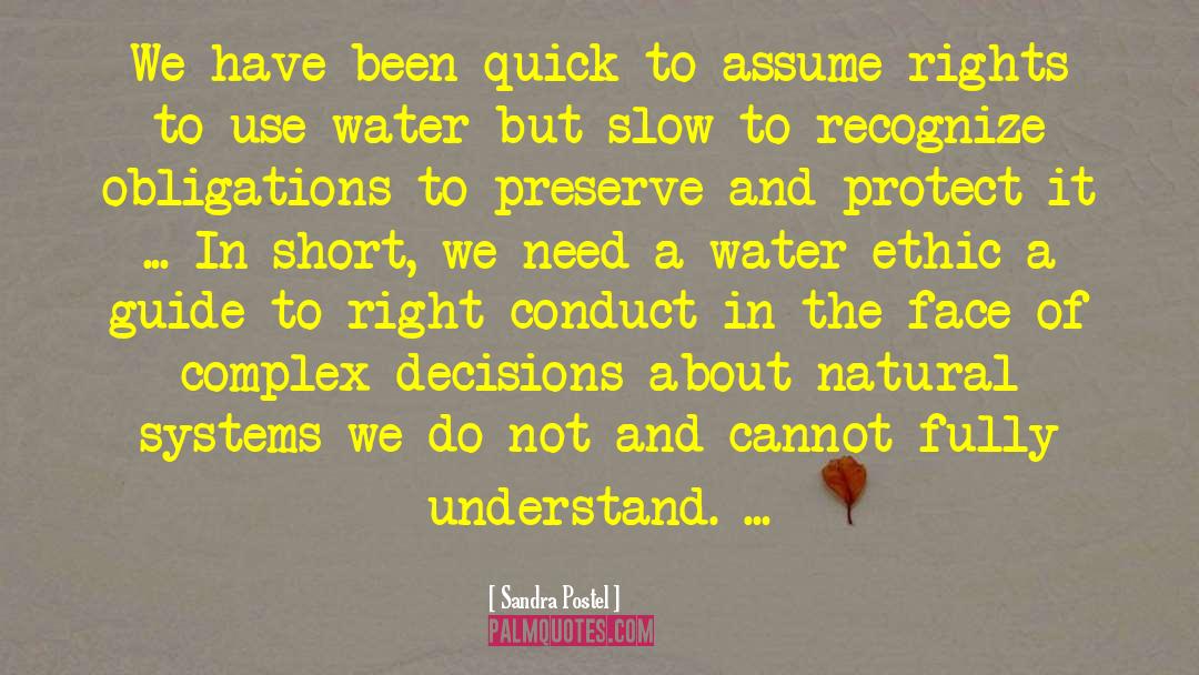 Sandra Postel Quotes: We have been quick to