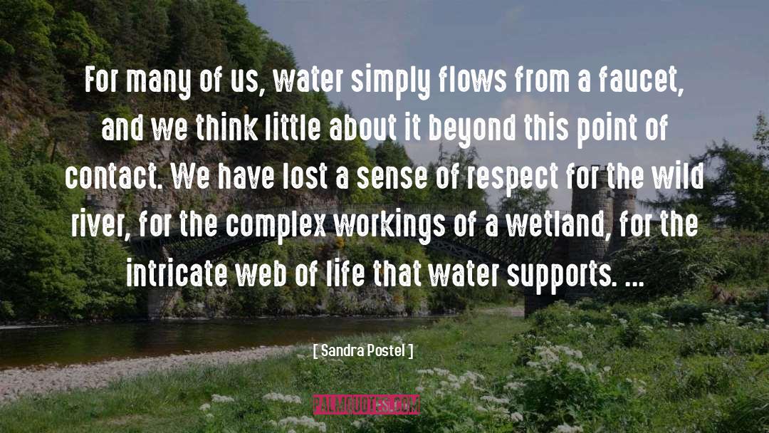 Sandra Postel Quotes: For many of us, water