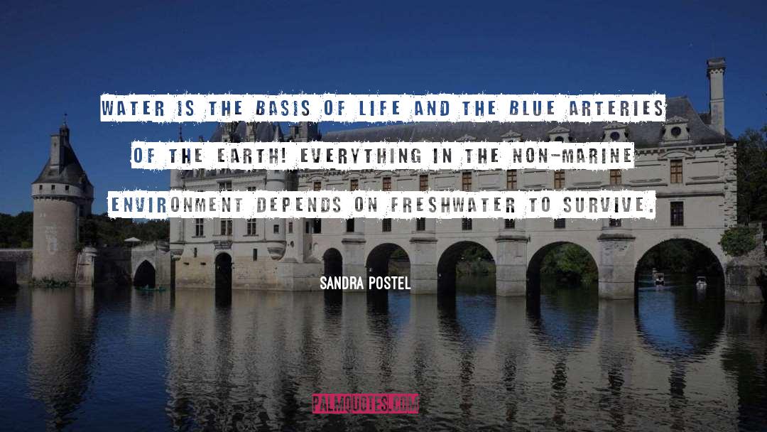 Sandra Postel Quotes: Water is the basis of