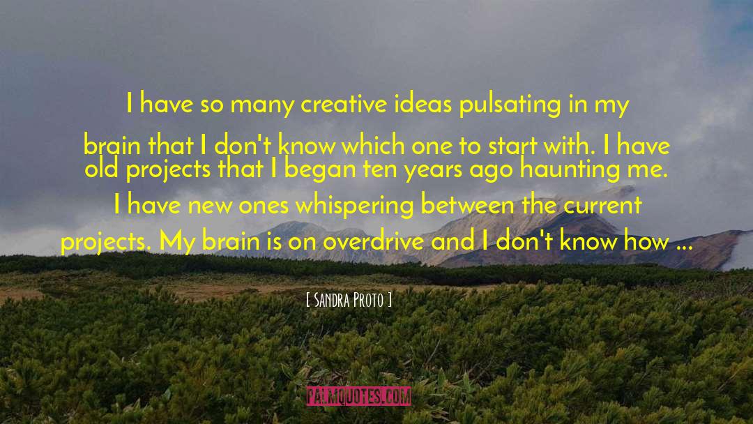 Sandra Proto Quotes: I have so many creative