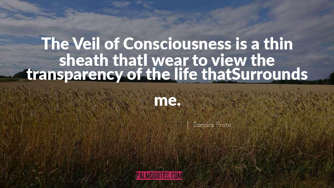Sandra Proto Quotes: The Veil of Consciousness is