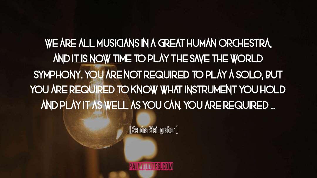 Sandra Steingraber Quotes: We are all musicians in