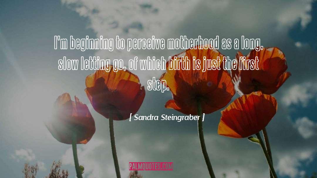 Sandra Steingraber Quotes: I'm beginning to perceive motherhood