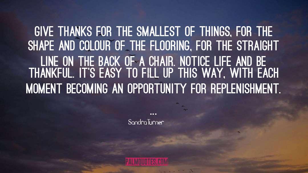 Sandra Turner Quotes: Give thanks for the smallest