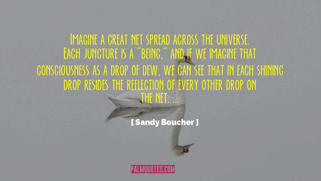 Sandy Boucher Quotes: Imagine a great net spread