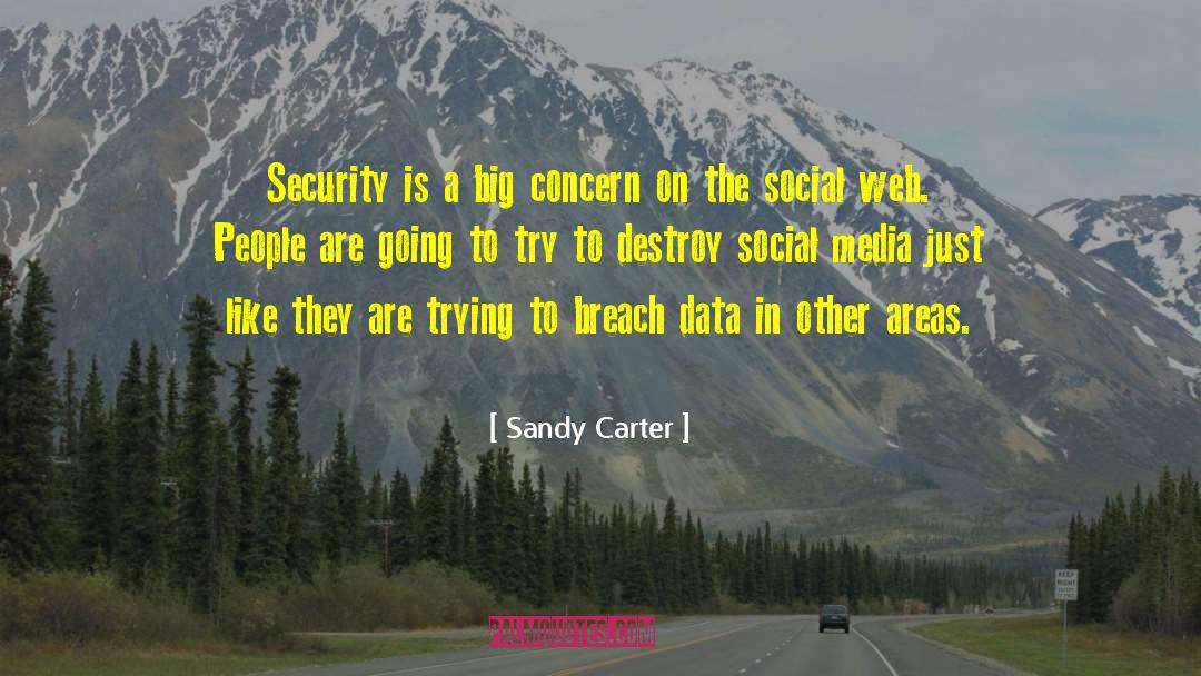 Sandy Carter Quotes: Security is a big concern