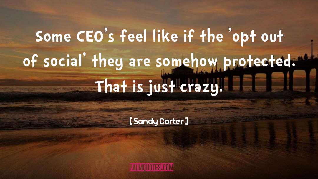 Sandy Carter Quotes: Some CEO's feel like if