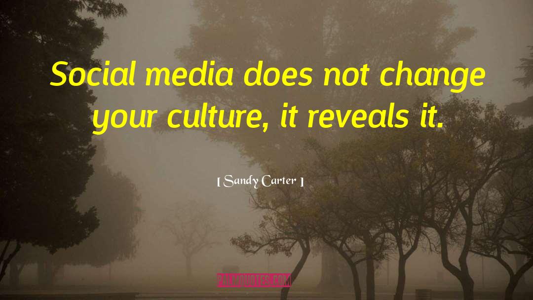 Sandy Carter Quotes: Social media does not change