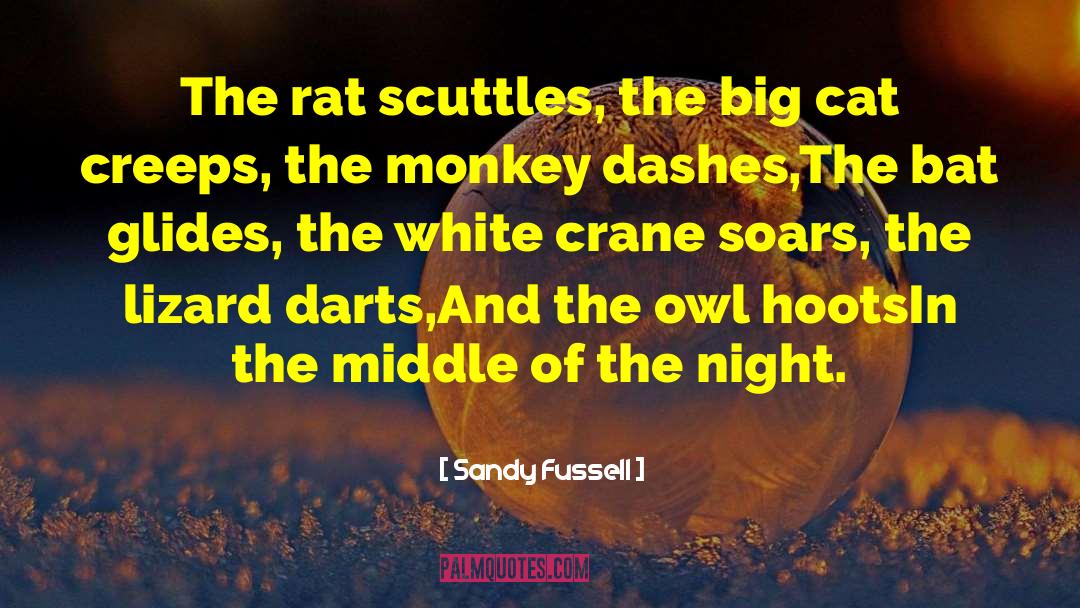 Sandy Fussell Quotes: The rat scuttles, the big