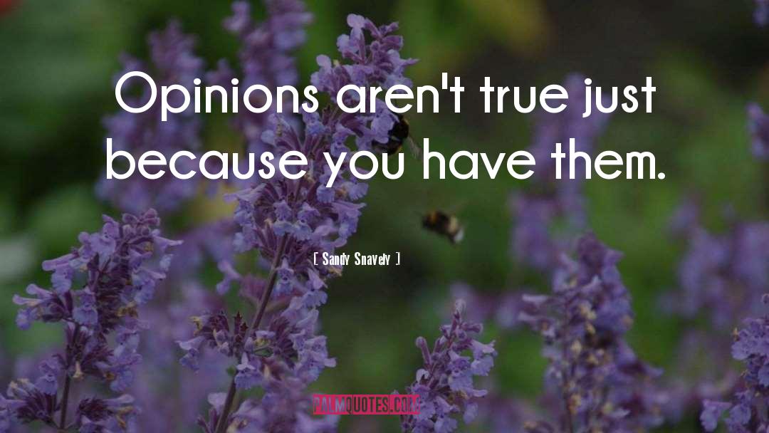 Sandy Snavely Quotes: Opinions aren't true just because