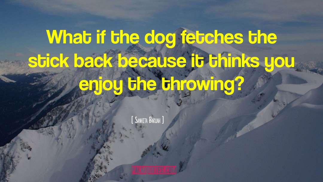 Sanhita Baruah Quotes: What if the dog fetches