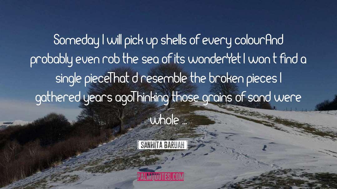 Sanhita Baruah Quotes: Someday I will pick up