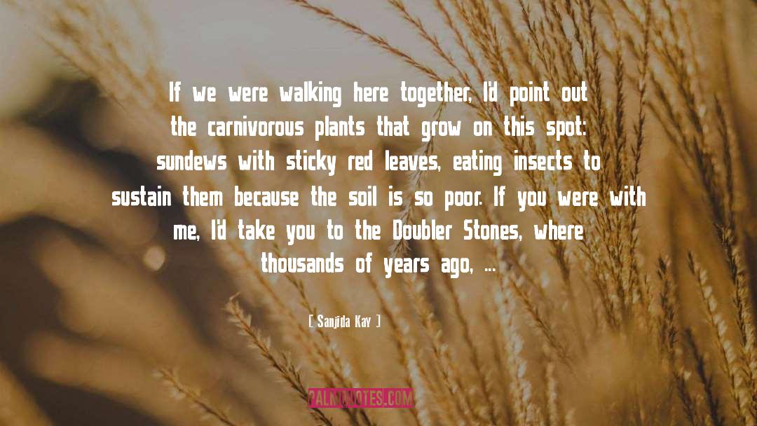 Sanjida Kay Quotes: If we were walking here