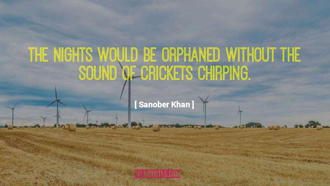 Sanober Khan Quotes: the nights would be orphaned