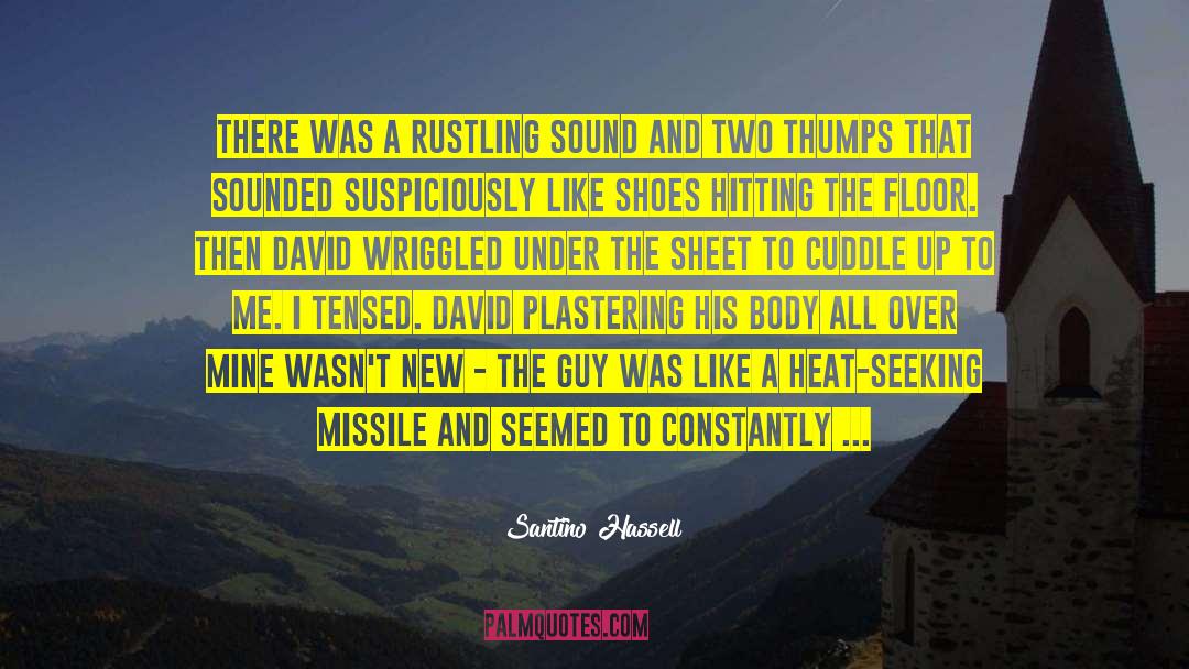 Santino Hassell Quotes: There was a rustling sound