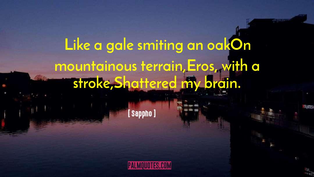 Sappho Quotes: Like a gale smiting an