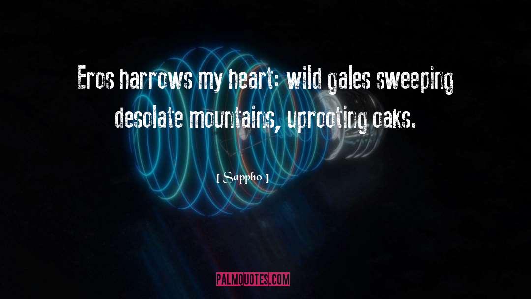 Sappho Quotes: Eros harrows my heart: wild